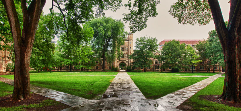 A view of the pathways in the law quad