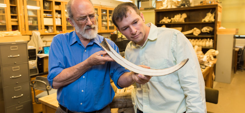 Two faculty members examine a fossil