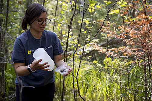 A student working in the U-m Biological Station