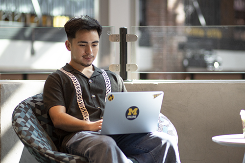 Photo of a student using a laptop computer