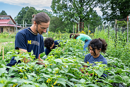U-M students assisting with farm crops