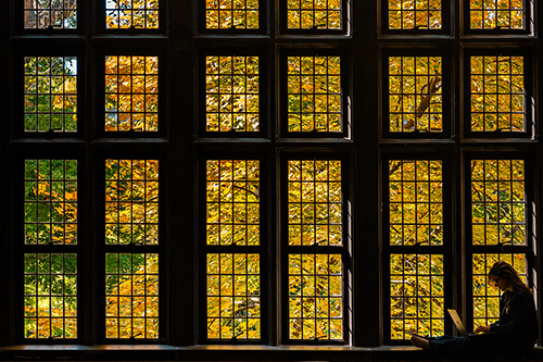A student sits on the corner of sill at the base of a large wall of windows in the School of Education. Outside, the trees all burst with bright orange and yellow hues, casting the stone window frames and student in silhouette.