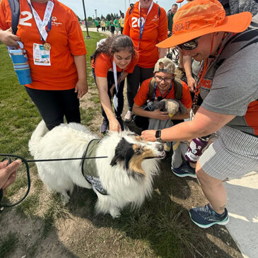 Bree the therapy dog